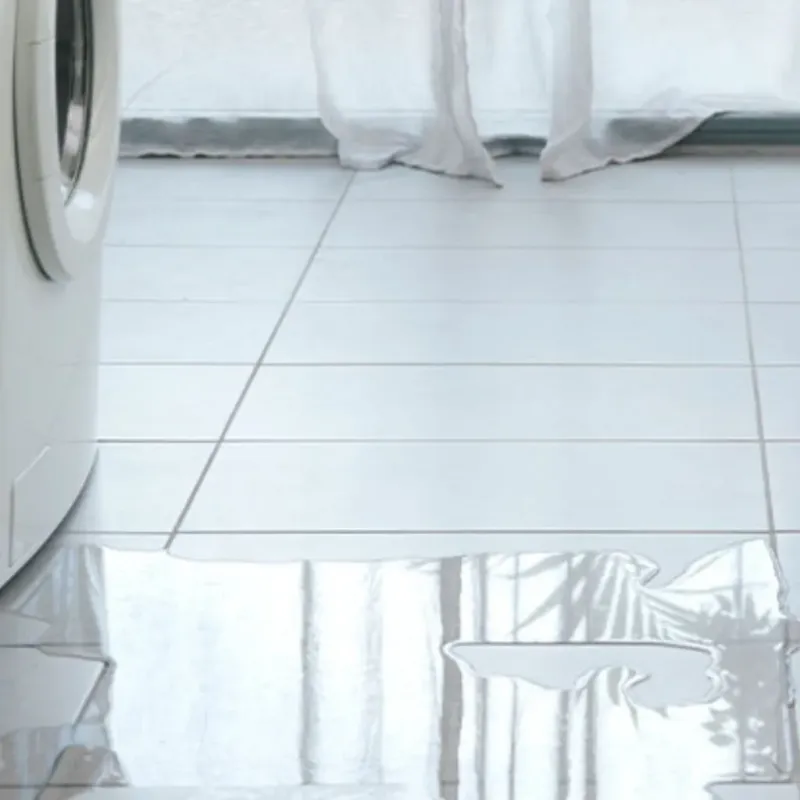 Appliance Leak Cleanup in King William County, VA