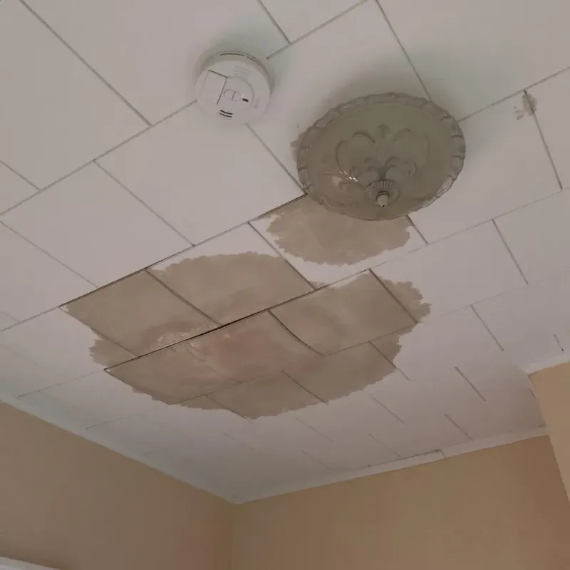 Ceiling Water Damage Repair in King William County, VA