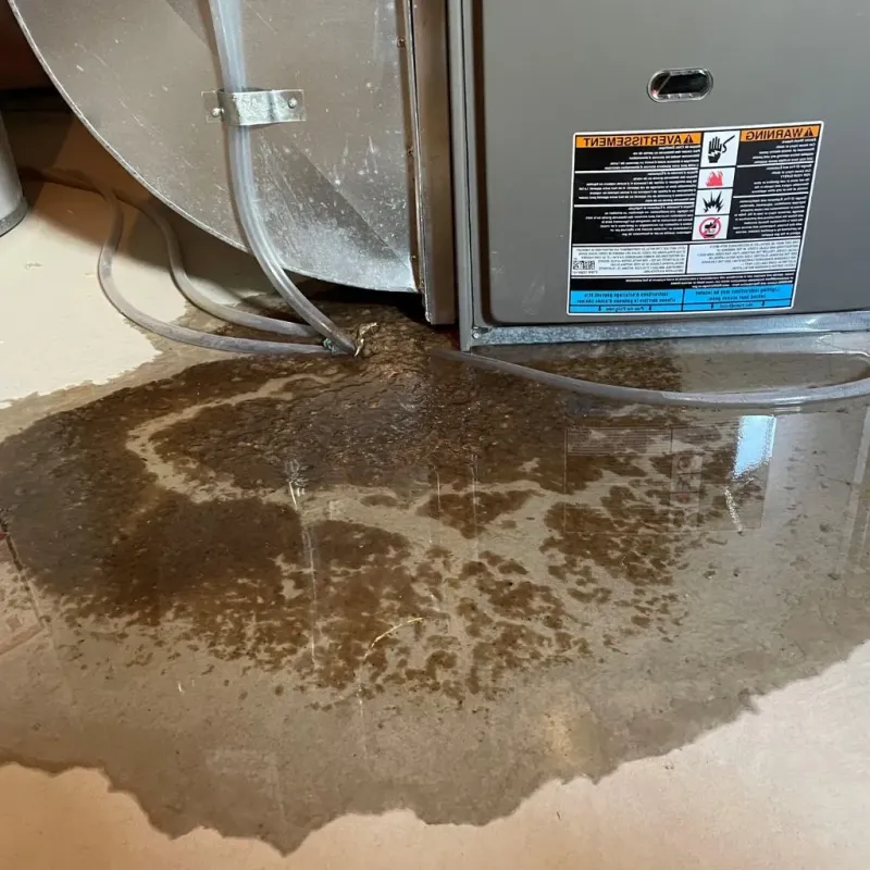 Pipe Burst and Leak Restoration in King William County, VA