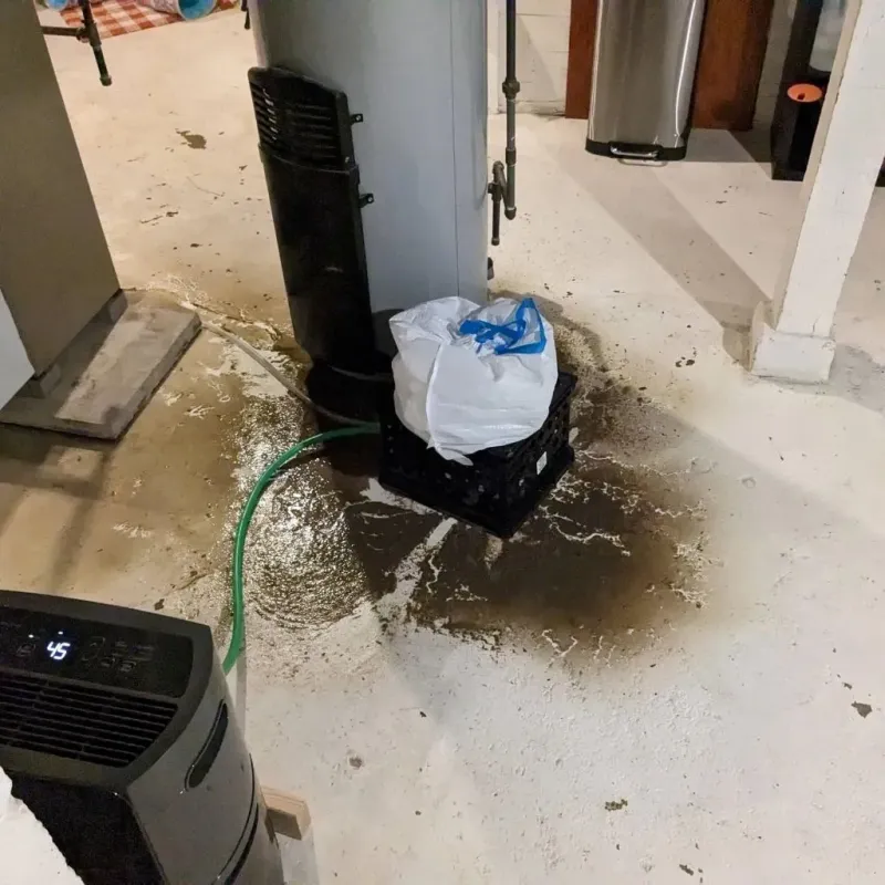 Sewage Backup Cleanup Service in King William County, VA